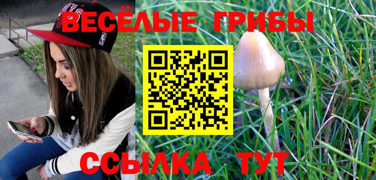 Белебей  Псилоцибиновые грибы MAGIC MUSHROOMS  Вход с VPN  Псилоцибиновые грибы GOLDEN TEACHER 